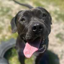 Thumbnail photo of Winifred #2