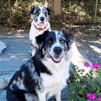 Thumbnail photo of Esther #2