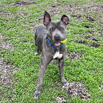 Thumbnail photo of Lola #3