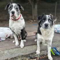Thumbnail photo of Esther #4