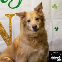 Thumbnail photo of Pebbles #4