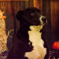 Thumbnail photo of Ayden #4