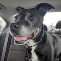 Thumbnail photo of Barkley #3