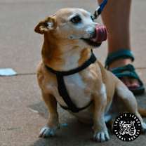 Thumbnail photo of Spike #2