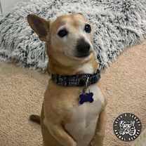 Thumbnail photo of Spike #3