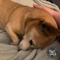 Thumbnail photo of Spike #4