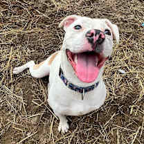 Thumbnail photo of Asha Chatham #2