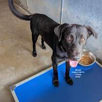 Thumbnail photo of Miracle #2