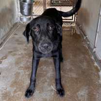 Thumbnail photo of Miracle #3