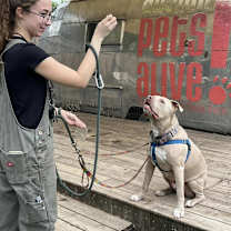 Thumbnail photo of Clubby #3