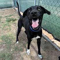 Thumbnail photo of Hamish #1