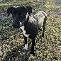 Thumbnail photo of Flor #1