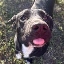 Thumbnail photo of Flor #2