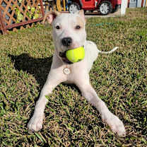 Thumbnail photo of Friday Jones #1