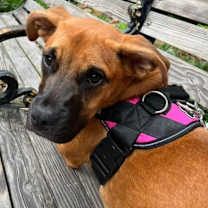 Thumbnail photo of Selene #1
