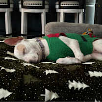 Thumbnail photo of Friday Jones #2