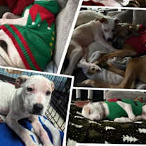 Thumbnail photo of Friday Jones #3