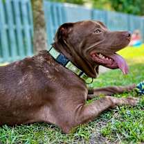 Thumbnail photo of Grits #2