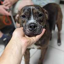 Thumbnail photo of BK #4