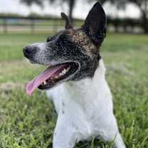 Thumbnail photo of Joyce #3