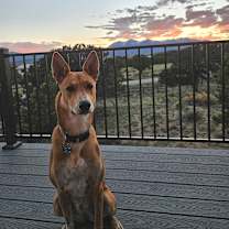 Thumbnail photo of Spiral Notebook #2