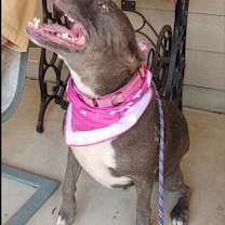 Thumbnail photo of Chloe #3