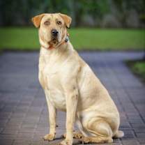 Thumbnail photo of Sally aka ellie #1