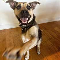 Thumbnail photo of Grayson #1