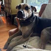 Thumbnail photo of Grayson #2