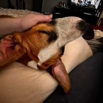 Thumbnail photo of Hopscotch #2