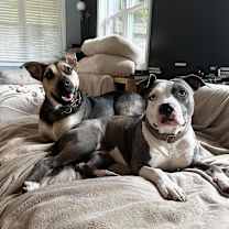 Thumbnail photo of Grayson #4