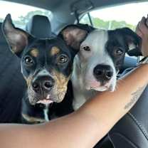 Thumbnail photo of Zuko #3