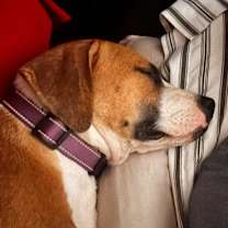 Thumbnail photo of Hopscotch #3
