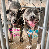 Thumbnail photo of Mena #2