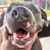 Thumbnail photo of Mena #3