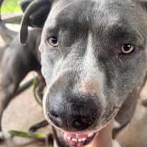 Thumbnail photo of Mena #4
