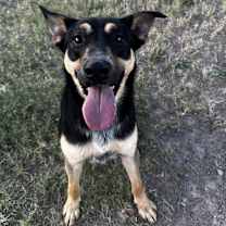 Thumbnail photo of Emery #1