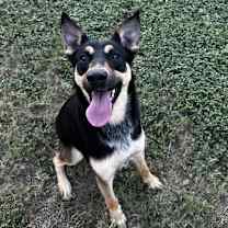 Thumbnail photo of Emery #2