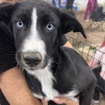 Thumbnail photo of Sky #2