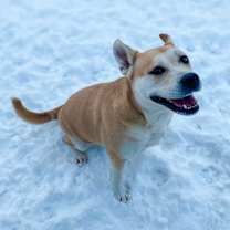 Thumbnail photo of Kira #1