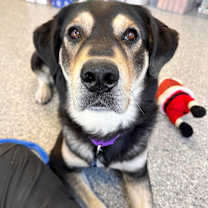 Thumbnail photo of Victory #1