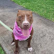 Thumbnail photo of Penny #1