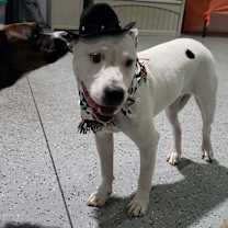 Thumbnail photo of Edward #2