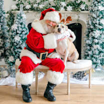 Thumbnail photo of Roxie #1