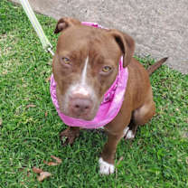 Thumbnail photo of Penny #2