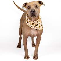 Thumbnail photo of Tom #2