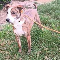 Thumbnail photo of Shuri #3