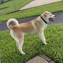 Thumbnail photo of Tobi #3