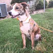 Thumbnail photo of Shuri #4