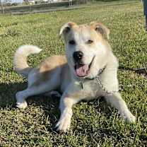 Thumbnail photo of Tobi #4